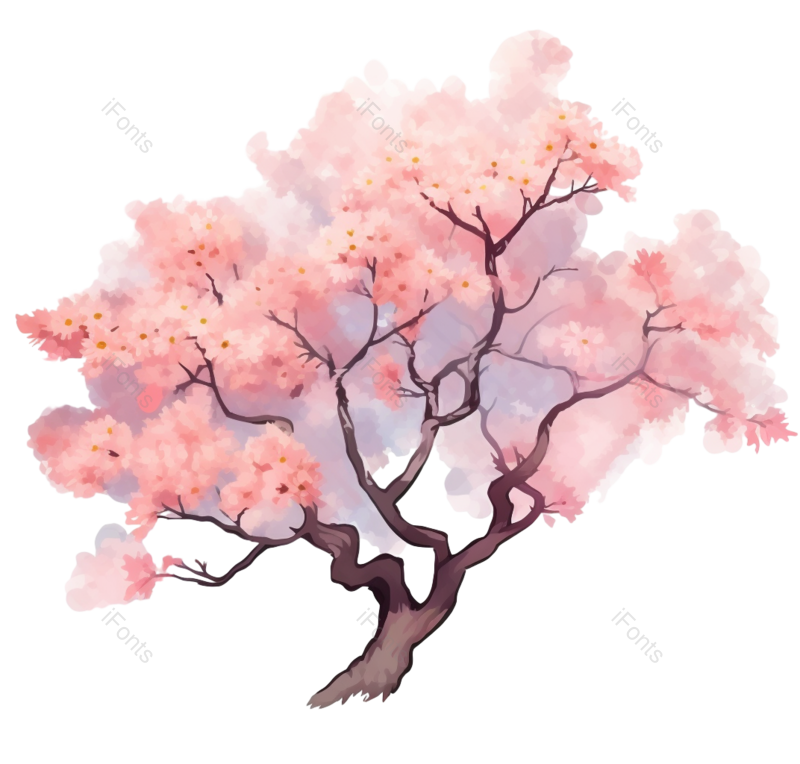 粉红色的花图片,白色背景元素,樱花PNG,免抠素材